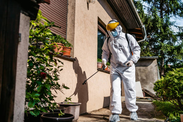 Best Best Pest Control Companies  in Clarendon Hls, IL