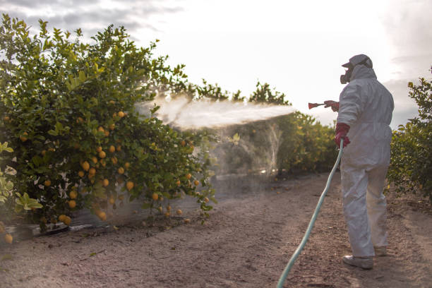 Best Pest Prevention Services  in Clarendon Hls, IL