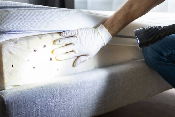 Pest Control Cost in Clarendon Hills, IL