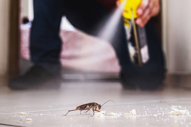 Pest Control for Restaurants in Clarendon Hills, IL