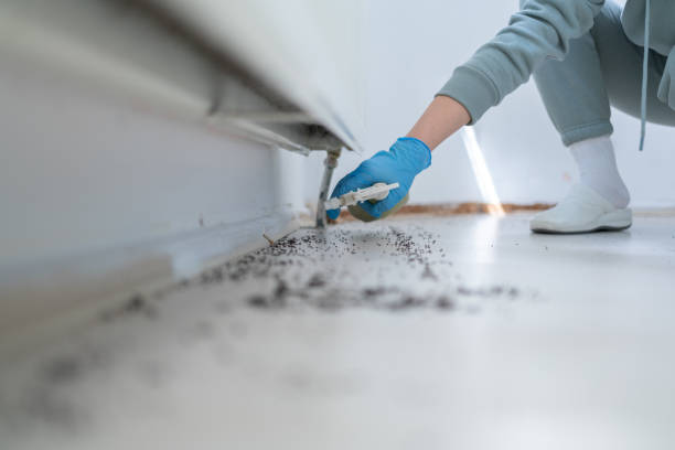 Best Best Pest Control Companies  in Clarendon Hls, IL